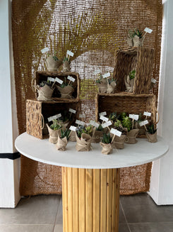 Table ronde bois